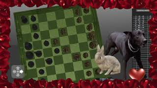 Computer vs Computer Chess
