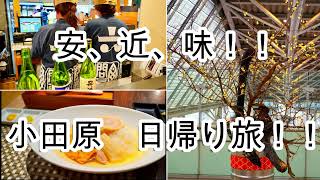 【日帰り】東京から約1時間！小田原「ミナカ小田原」で絶品グルメ＆無料足湯を楽しむ旅！#小田原 #ミナカ小田原 #小田原グルメ #食べ歩き #日帰り旅行 #小田原梅まつり #足湯 #城下町 #関東観光