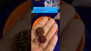 How to identify REAL RUDRAKSHA ✨❤️ || Difference between real and fake Rudraksha ❌