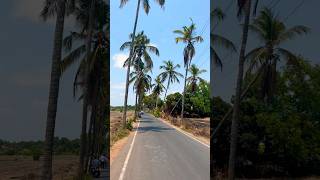 Parra Road - Goa #goa #parraroad #travel #explore #trip #nature #lovezindagi #bliss #northgoa