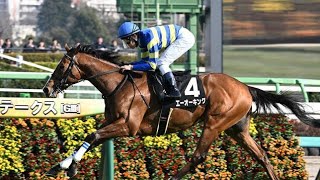 ９番人気エーオーキング逃げ切った「新たな一面が出た」田辺騎手／水仙賞[Azami