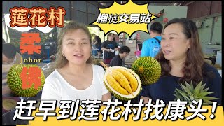 早起到莲花村的榴梿交易站找康头，寻找顶级猫山王！