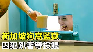新加坡狗窩監獄，囚犯趴在地上等待投餵，聞著廁所的味道吃飯|樟宜監獄