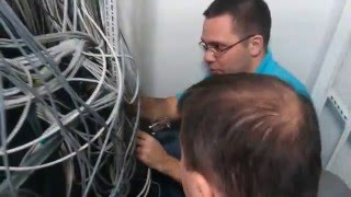 Cisco study