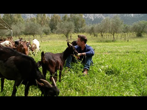 Gino D’Acampo makes Fusilli pasta with goats cheese, tomatoes & fresh basil | Gino’s Sardinia