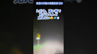 ＃ただ今＃濃い霧でほとんど見えない😵🚙💨＃지금#짙은안개로#앞이거의안보임😵🚙💨