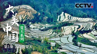 大美云南：夏日多姿 一片土地七个气候带《大美中国·夏天系列》EP01【CCTV纪录】