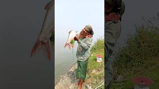 big On the bait big fish catchin #fishing #shots #viral