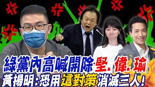 綠黨內高喊開除"堅偉瑜" 黃揚明曝:恐用"這對策"一次消滅三人! @中天新聞CtiNews