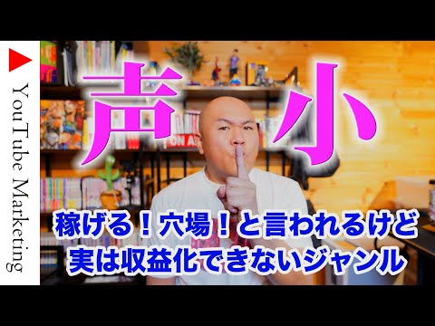 【声を小にして言いたい！】稼げる！穴場！と言われているけど、実は収益停止と紙一重のYouTubeジャンル