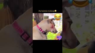 DOGESH BHAI KI WIFE Youtube views kaise badhaye| youtube video boost kaise kare| views kaise badhaye