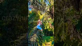Riding a giant palm leaf all the way to the ground #junglelife