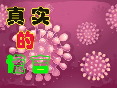 真实的谎言1，惨烈的武汉疫情-------安抚维稳的省长/占道的尸体/挤爆的医院/发疯的护士/ 医生自曝的内部实情