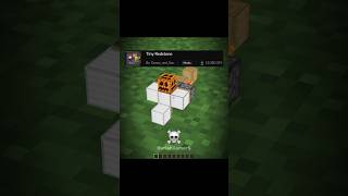 MINECRAFT OP MODS ☠️ PART 122