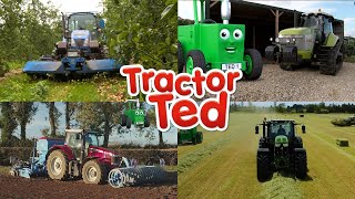 Big Machines Compilation 🚜 | Tractor Ted Big Machines | Tractor Ted Official Channel