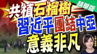 【張雅婷辣晚報】共植"石榴樹" 習近平"團結"中亞"意義非凡" @中天新聞CtiNews  精華版