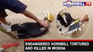 ENDANGERED HORNBILL TORTURED AND KILLED IN WOKHA
