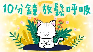 【簡單呼吸冥想】廣東話冥想丨適合想放鬆的你丨腹式呼吸丨新手適用丨基礎正念冥想丨安撫身心丨覺察呼吸丨冥想小貓🐱10分鐘引導