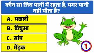 Gk In Hindi || Gk ke sawal || GeneralKnowledge || Gk Video || Interesting Gk|| unseengk ||