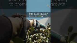 Quick and Easy Landscaping Tips and Tricks For A Stunning Landscape 🏡🌸