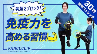 免疫力を上げる！30秒の簡単ストレッチ習慣