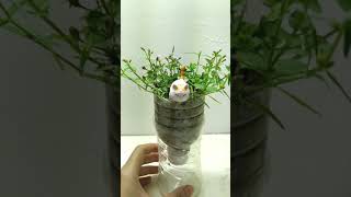 貓咪花叢來遊戲-荒野保護協會「讓海廢停在起跑點」活動參賽作品