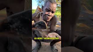 The Bushman Way of Life and Eating in Tanzania 🔥#Bushmen #hadzatribe #africa #wildlife