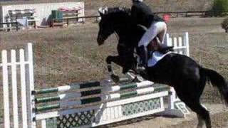 Ram Tap Horse Show