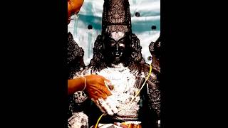 Lord Vishnu Blessing🙏#lordvishnu #lordbalaji #tirupatibalaji #tirupatibalaji #shortsfeed #ytshorts