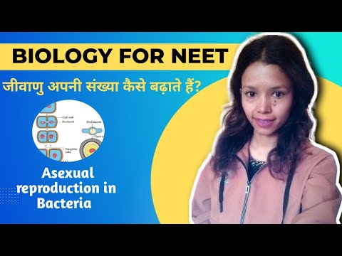 Reproduction in Bacteria || Vegetative Reproduction || Asexual reproduction in Bacteria || #neet