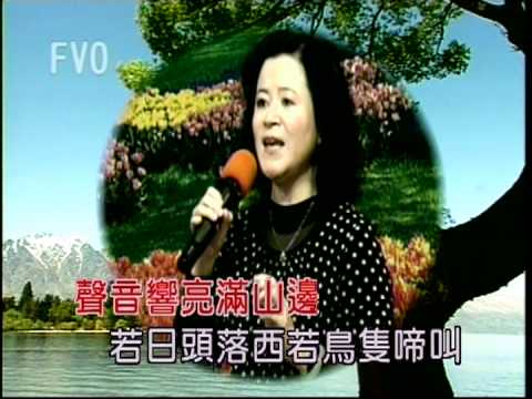 楊沛渝11.VOB採檳榔