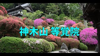 神木山 等覚院 （川崎市 宮前区）
