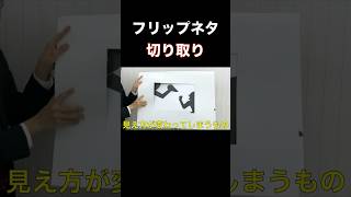 【フリップネタ】切り取り【岩本ハルキ】#ピンネタ #切り抜き