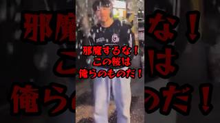 日本の桜をへし折る中国人観光客の末路… #海外の反応 #shorts