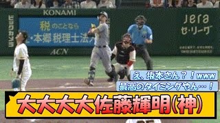 【阪神】大大大大佐藤輝明(神)