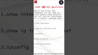 CCNA 200 301 Questions // Question 020 // #ccna200301 #ccna #ccnaexam #ccna_questions