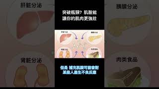 突破瓶頸？肌酸能讓你的肌肉更強壯 #健康 #冷知识 #涨知识 #科普 #Shorts