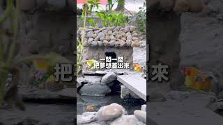 藏在大里溪橋下的迷你城市