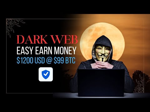 $1200 Dark Web Transfer Test - Is 99 BTC Really Worth It