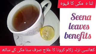 sana makki kahwa | Sana Makki Ke Fayde | senna leaves benefits