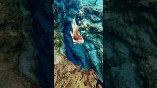 💎 #underwater #freediver #freediving #springs #aguacristalina