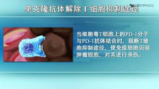 第三章 生命的卫士—疫苗和抗体（3） 肿瘤的克星——单克隆抗体PD-1、PD-L1技术
