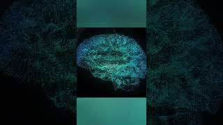 Toddobaadka Teknolojiyadda #ai #chatgpt #artificialintelligence#newstechnology ##chatgpt somalitech