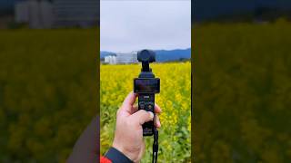 DJI Osmo Pocket 3 - Best 4K Pocket Camera Review & Setup | Ultimate Vlogging Gear #opencamera