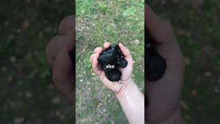 Biochar - Have you ever heard of it or used it #soil #biochar #healthysoil #gardeneducation