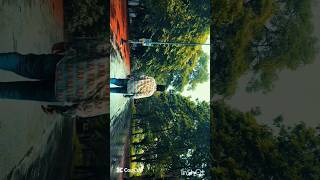 cinamatic......turtioal....like....share. #dailypost #lovephotography #instapost #youtubeshorts