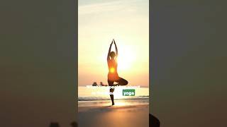 Yoga and Ayurveda:  Vedic Harmony  #ayurveda #holisticwellness #yoga #meditation  #yourbody