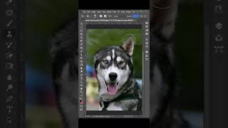 Adobe Photoshop Clone Stamp Tool Tips and Tricks #photoshoptutorial