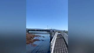 湾区湿地生态保护公园