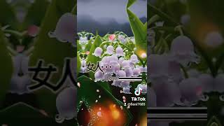 #夫妻 #絕配 #讓步 #聘禮 #責任 #嫁妝 #顧家 -0206